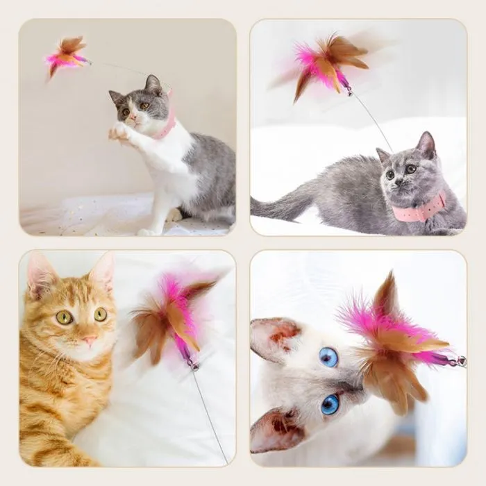 Cat Neck Belt with Teaser Toy