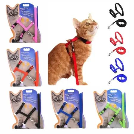 Pet Harness