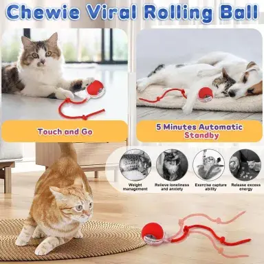 Smart Self Moving Cat Ball Toy USB