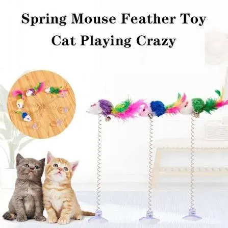 Cat Spring Toy