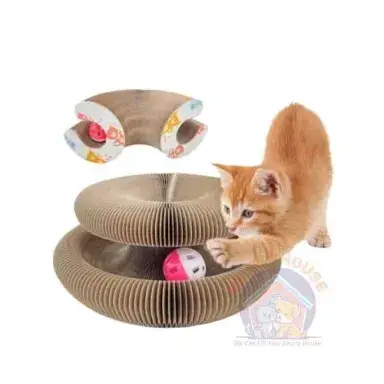 Magic Organ Cat Scratcher Toy