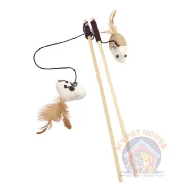 Sticky Fish Toy Wooden