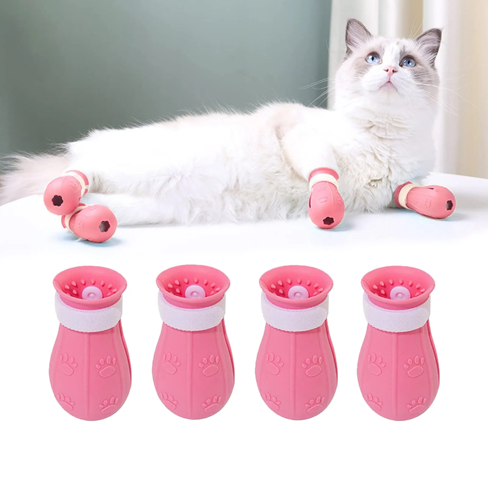 Cat Shoe 4pcs Set