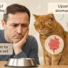 Worried cat owner looking at food bowl while cat has upset stomach — can cat food cause diarrhea illustration