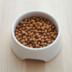Top 10 Best Cat Food in Bangladesh