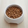 Top 10 Best Cat Food in Bangladesh